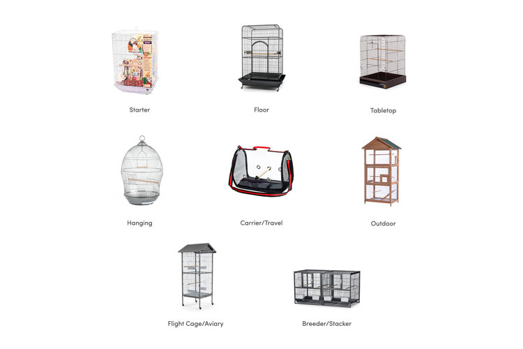 bird-cage-buying-guide-how-to-choose-the-best-option-wayfair